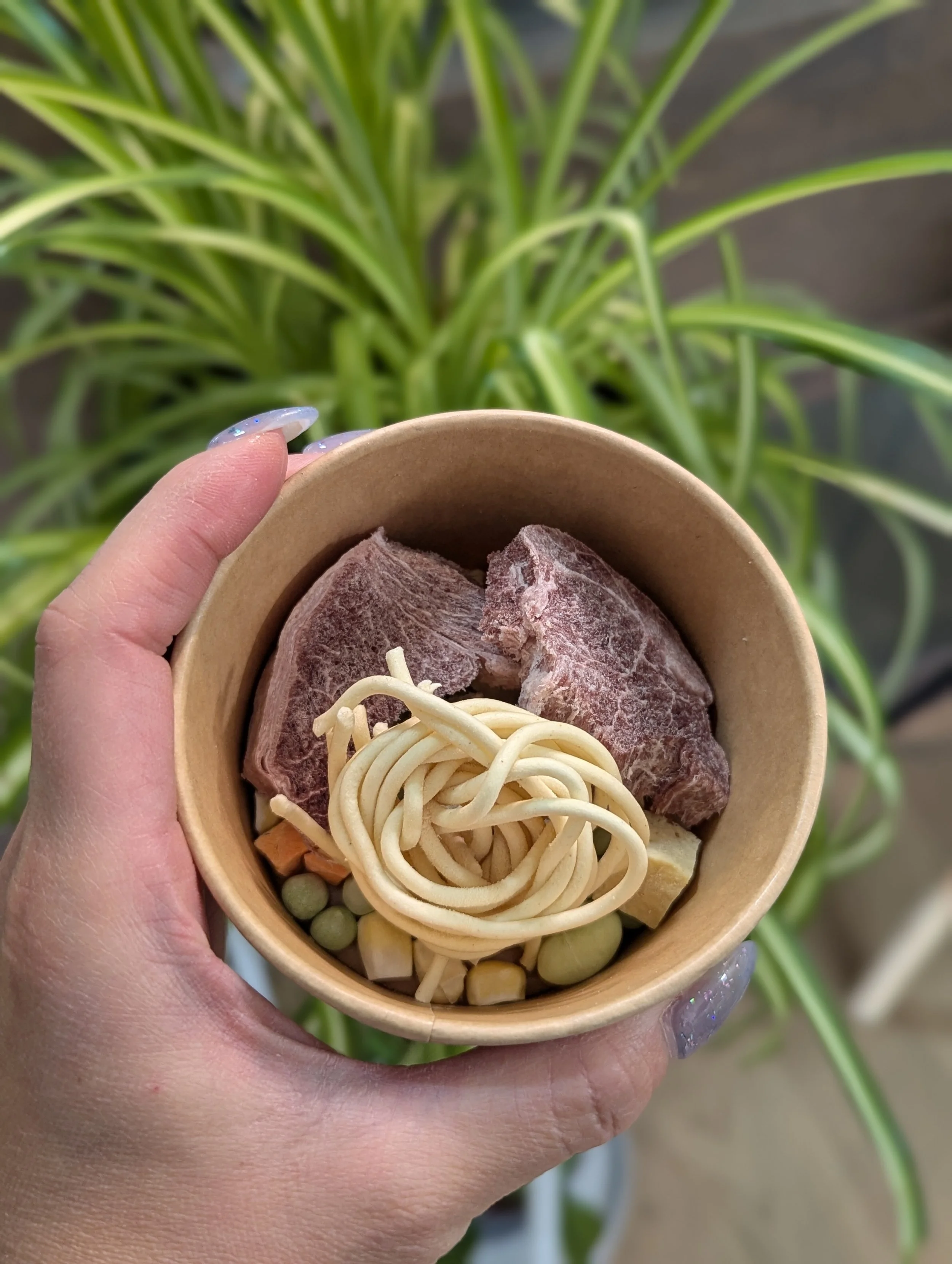 Freeze dried puppy ramen — MIMI & SOSO